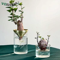 hot glass hydroponic vase modern garden pots planters ornaments living room creative transparent small mouth copper flower ware