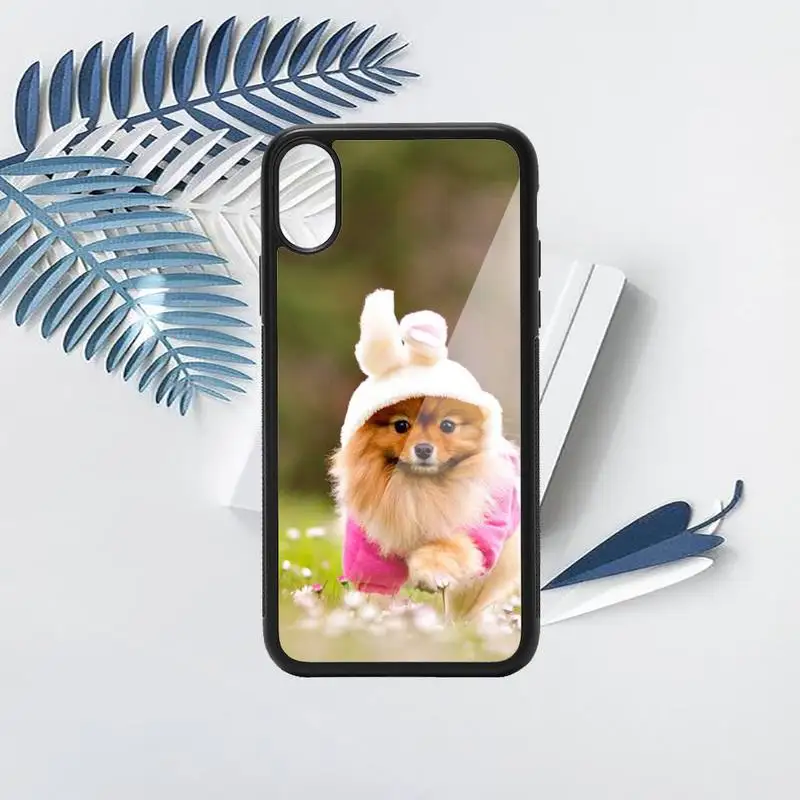 

Pomeranian dogs dog Phone Case TPU For iPhone X XR XS 11 12 mini Pro MAX 6 6S 7 8 Plus SE 2020