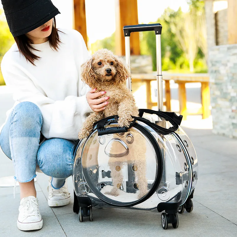 

Pet Trolley Case portable transparent cat bag multifunctional pet backpack pet aviation box bubble box