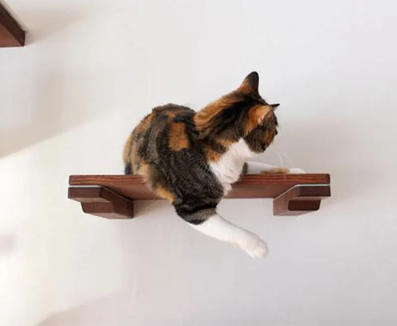 Wall-mounted Cat Solid Shelf Climbing Frame Cat Tree Hammock Pet Furniture Play House