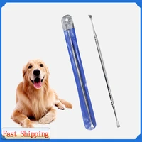 pet double head stainless steel teeth cleaning tool cats and dogs mouth cleaning tartar cleaning tooth stain cleaner