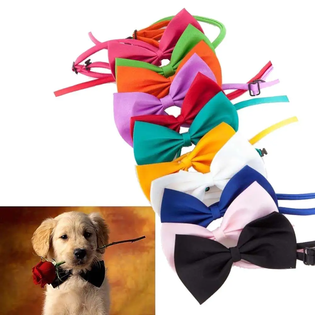 

Dog Neck Bow Tie Adjustable Dog Cat Bow Tie Puppy Pets Neck Tie Pet Supplies Kitten Cat Dog Collar Strap Cat Dog Grooming