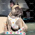 Кожаный собачий ошейник для маленьких собак чихуахуа набор шлейки и поводка для французского бульдога аксессуары для прогулок на открытом воздухе LC0215