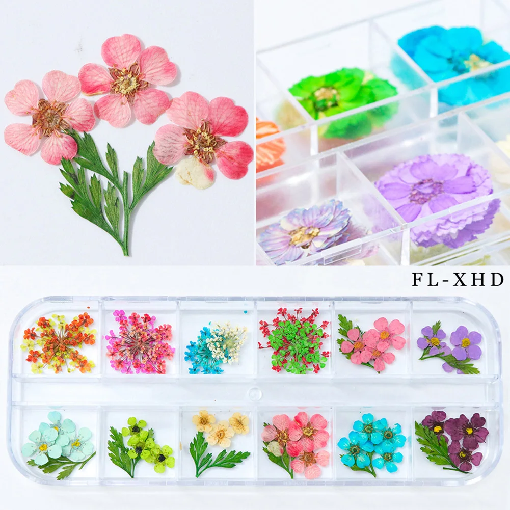 12 Клетки сушеный цветок лист декор для ногтей смешанные цвета дизайн наконечники