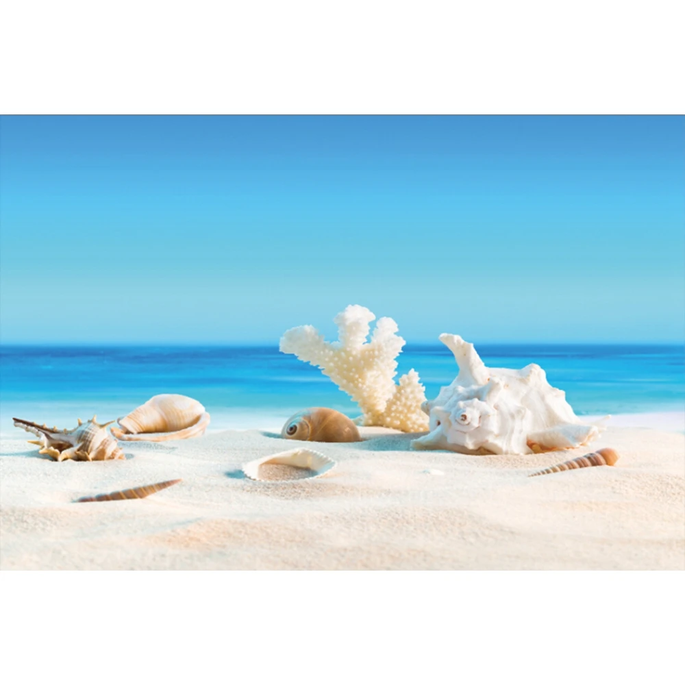 Yeele морской пляж ракушка Морская звезда фотографии фоны летние свадебные