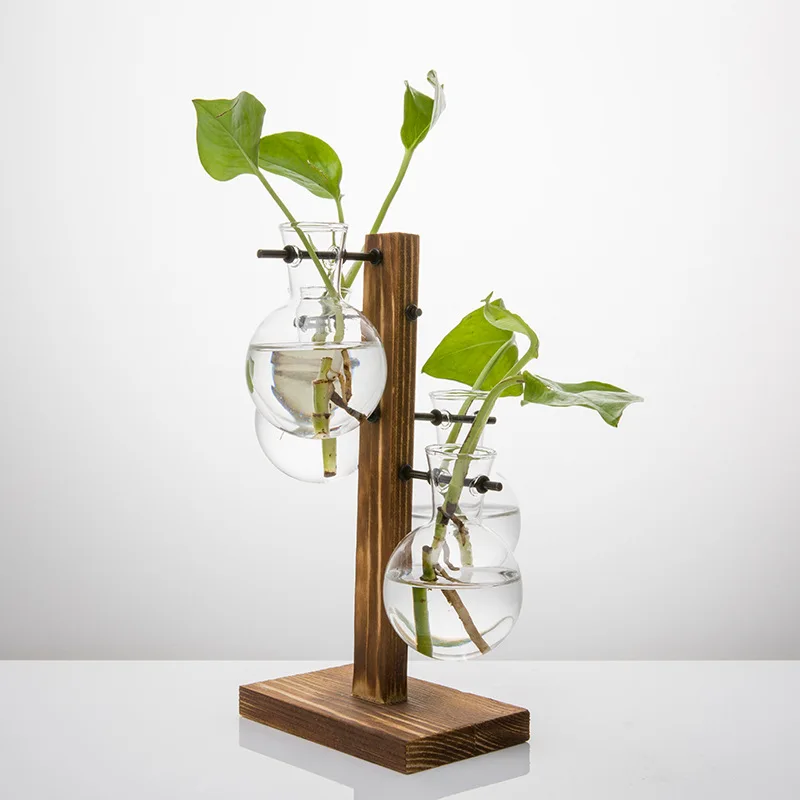 Гидропонная фотография Terrarium винтажный цветочный горшок прозрачная ваза
