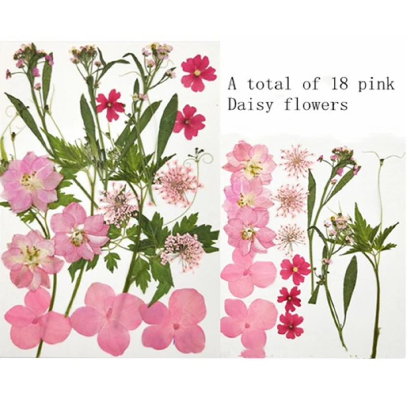 Настоящий цветок прессованный сетчатая красная наклейка на углы глаз лепесток