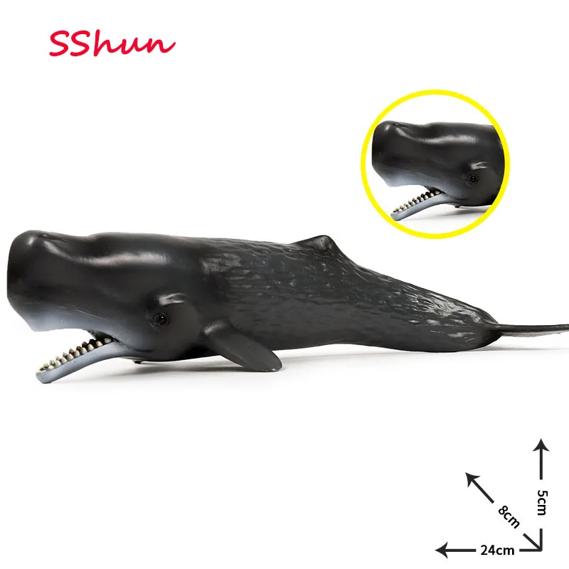 

24*8*5CM Children Cognitive Simulation Solid Sperm Whale Marine Life Animal Toy Plastic Static Model