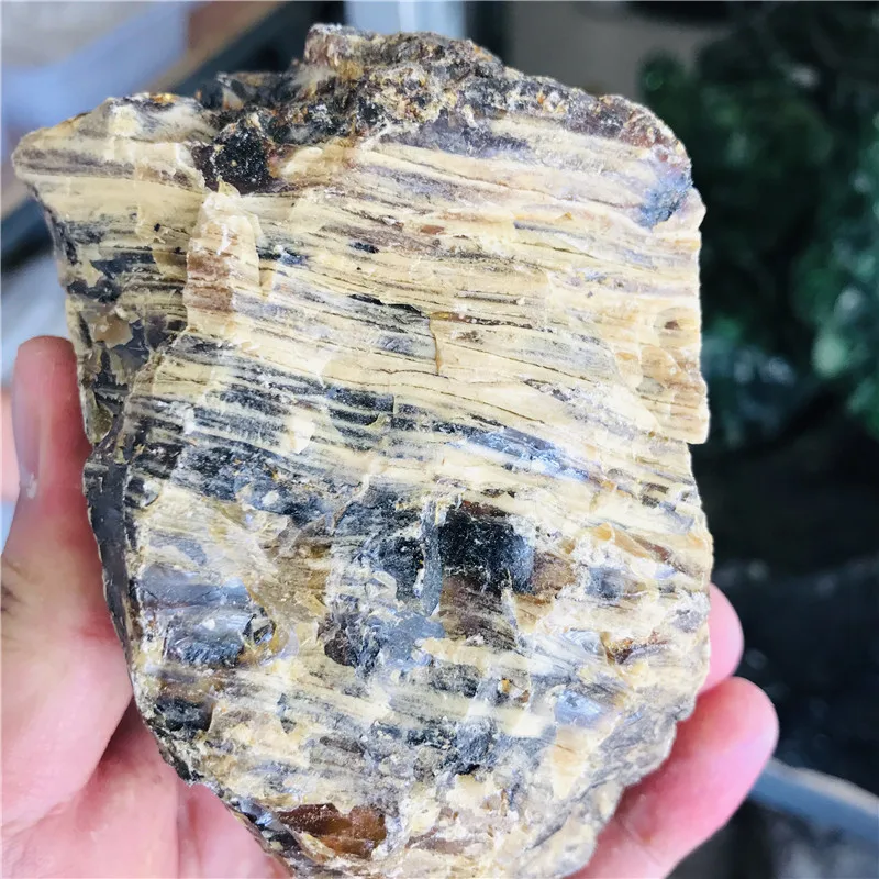 Природного сырья грубый Copal Янтарные ископаемые с насекомыми украшением в виде