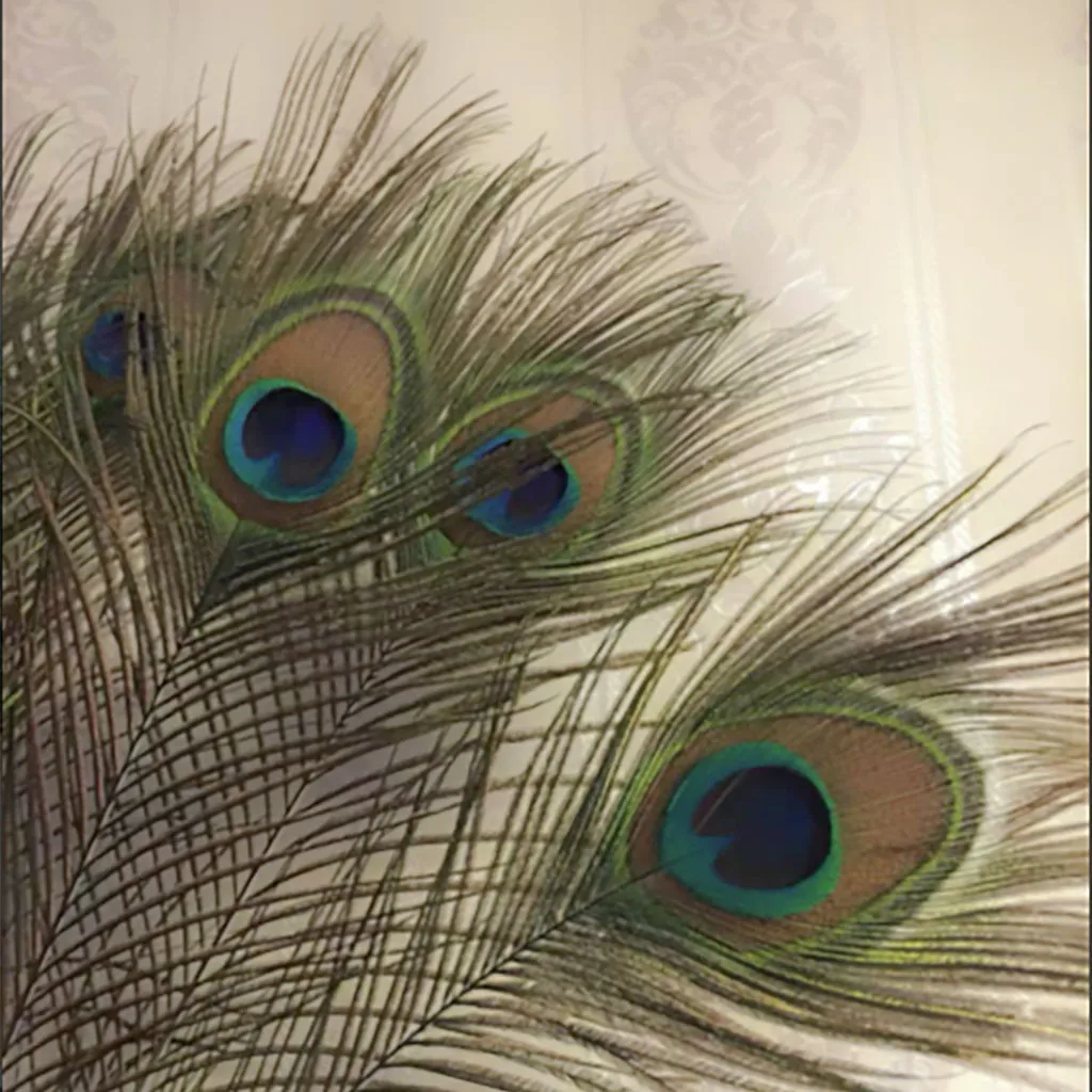 

10PCS 23-30cm Natural Peacock Tail Feathers Eyes Feathers Decorations For Craft Art Dress Hats Bridal Costume Home Decoration#55