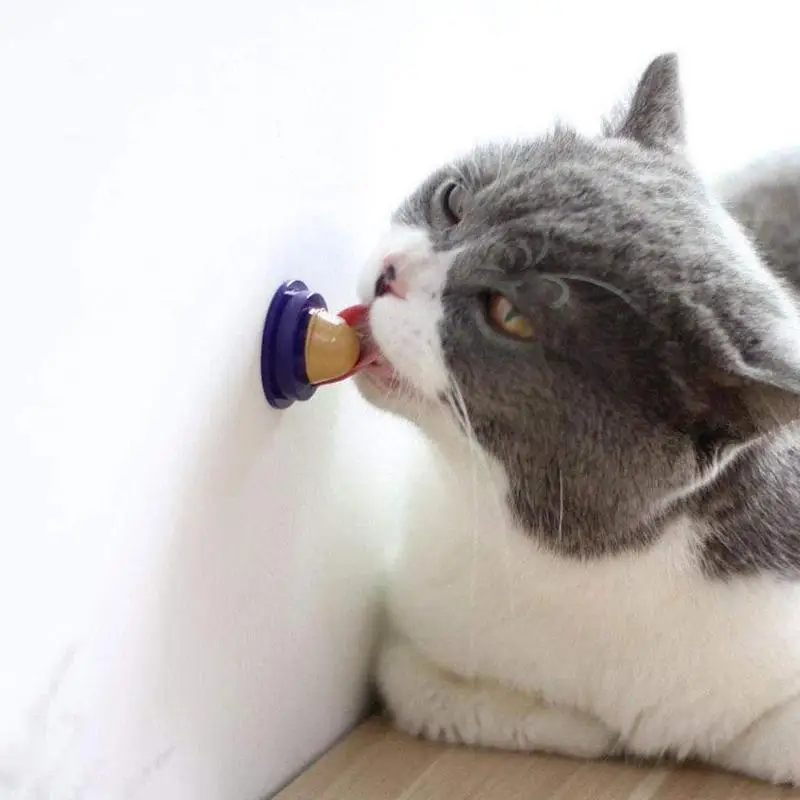 Здоровые снэки для котят еда кошек витамин кошка пудинг кошачья мята леденец