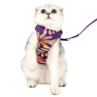 cat harness cat traction rope bolt cat rope to prevent from breaking away from hawaiian wind cat strap traction rope