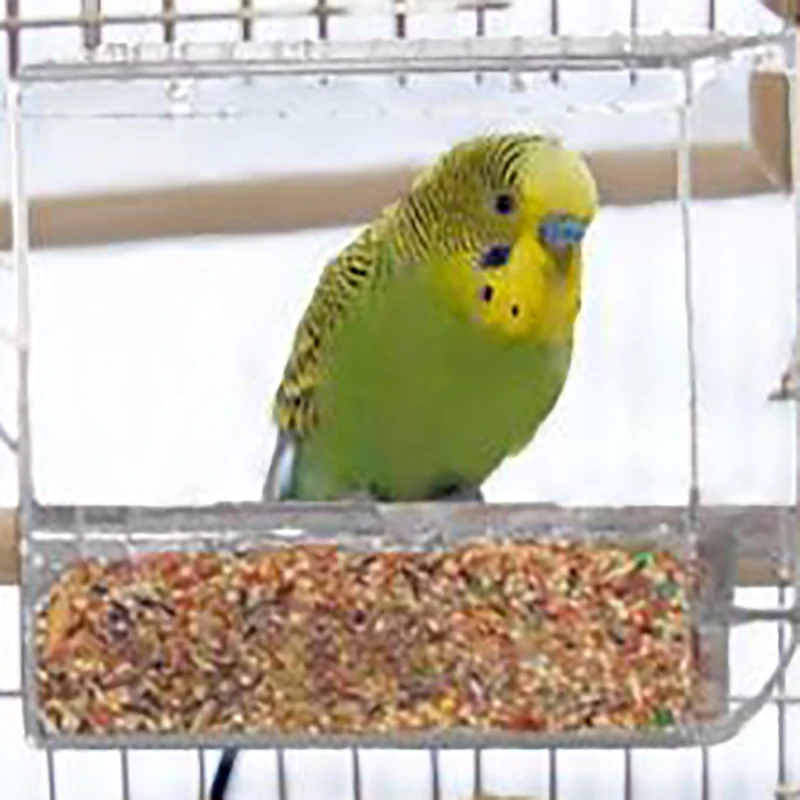 Семена не беспорядок кормушка для птиц игрушки попугая канарейка какашка зяблик