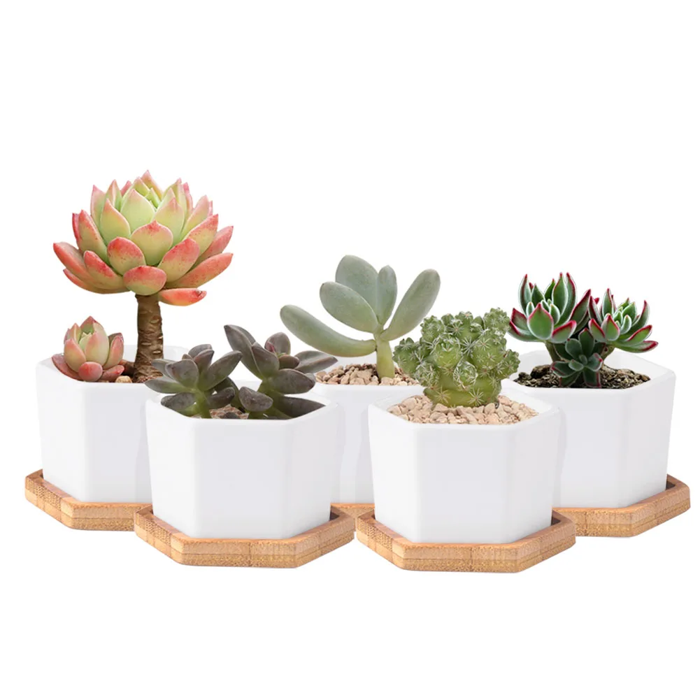 

2/4/6pcs White Mini Glazed Geometric Home Office Flowers Potted Flowers And Green Landscape Bonsai Balcony Window Placement Tool