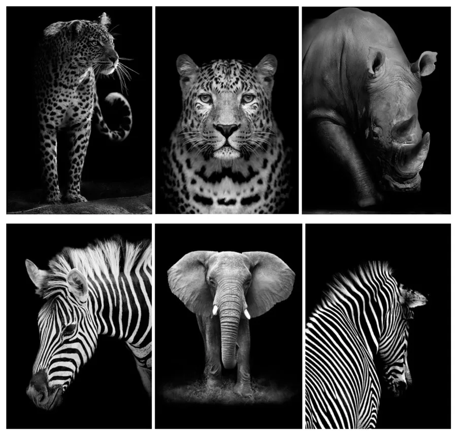 Черно белый слон жираф Зебра Леопард 5D алмазная Вышивка Животных полная круглая