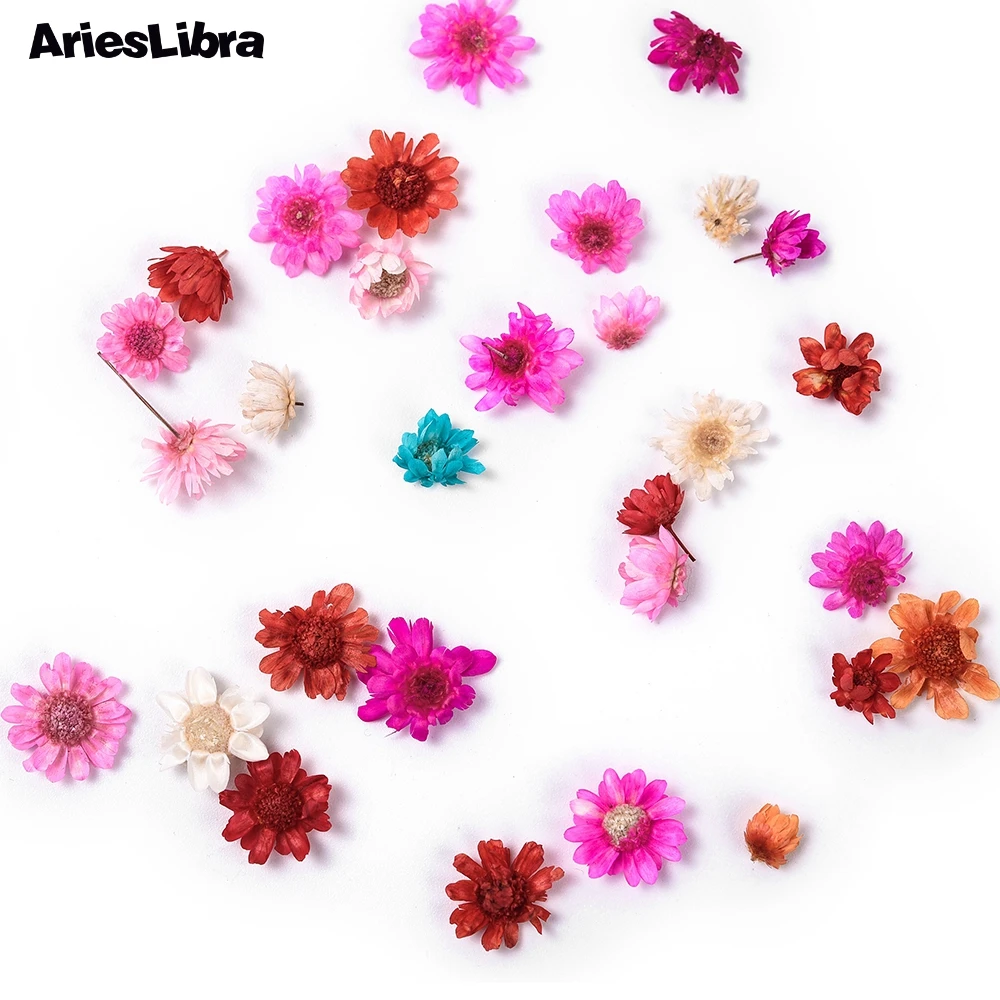 Ариеслибра 3D сушеные цветы украшения для ногтей настоящий цветочный дизайн