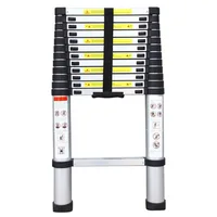 Single Side Extension Aluminum Stretchable Ladder Black Silver 3.2m Extension Ladder home Garden Tools