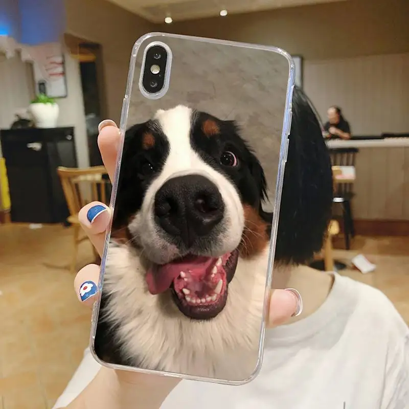 

Bernese Mountain Dog cute animal Phone Case Transparent for iPhone 6 7 8 11 12 s mini pro X XS XR MAX Plus