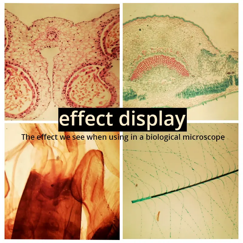 5.0MP микроскоп электронный окуляр USB2.0 видео CMOS камера промышленный окуляр камера с адаптером для захвата изображения