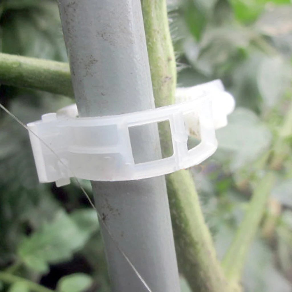 

100 pcs Plastic Tomato Clips Connect Pepper Cucumber Vines DIY Starch Tool for fixing the plant vines