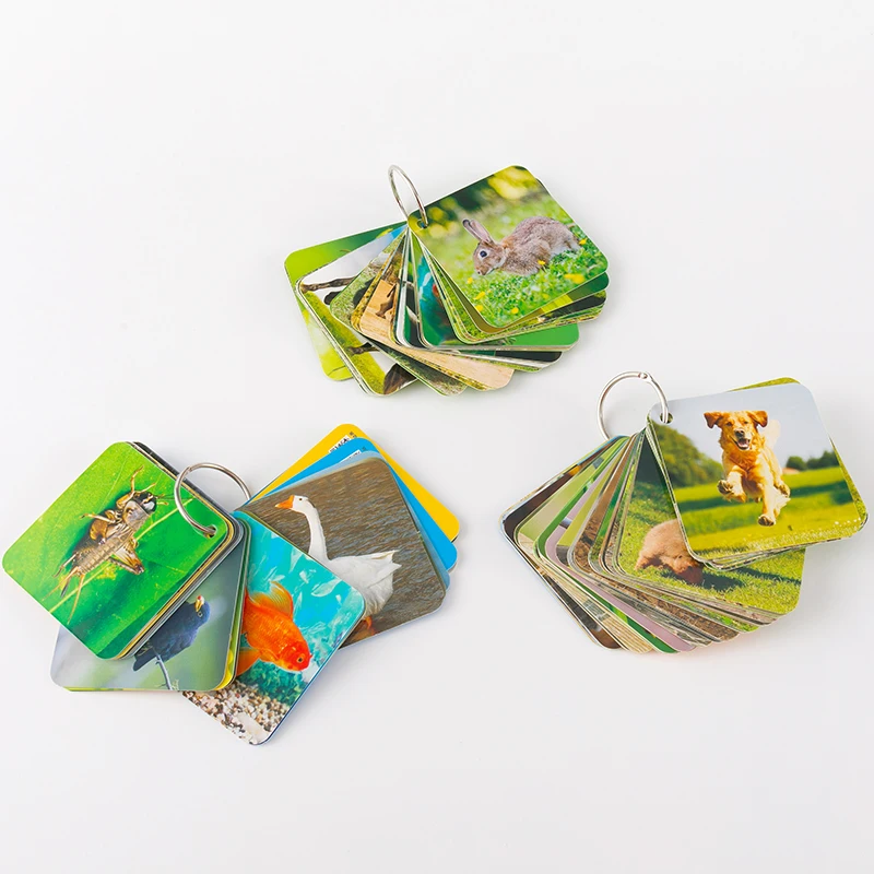 108 шт. Детские флеш-карты с животными | Игрушки и хобби