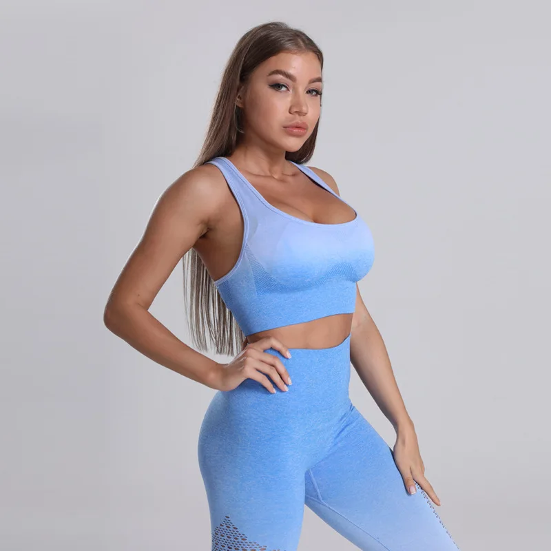

Ombre Seamless Sports Bra For Women Gym Workout Tops Training Bra Push UP Yoga Top Padded
