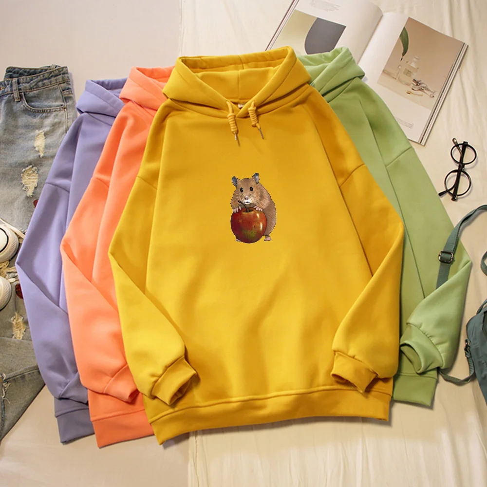 Harajuku Kawaii Cartoon Print Hoodies Women Plus Size Casual Pullover Hoodie Long Sleeve Sweatshirt Soft Sweetshirt for Girls