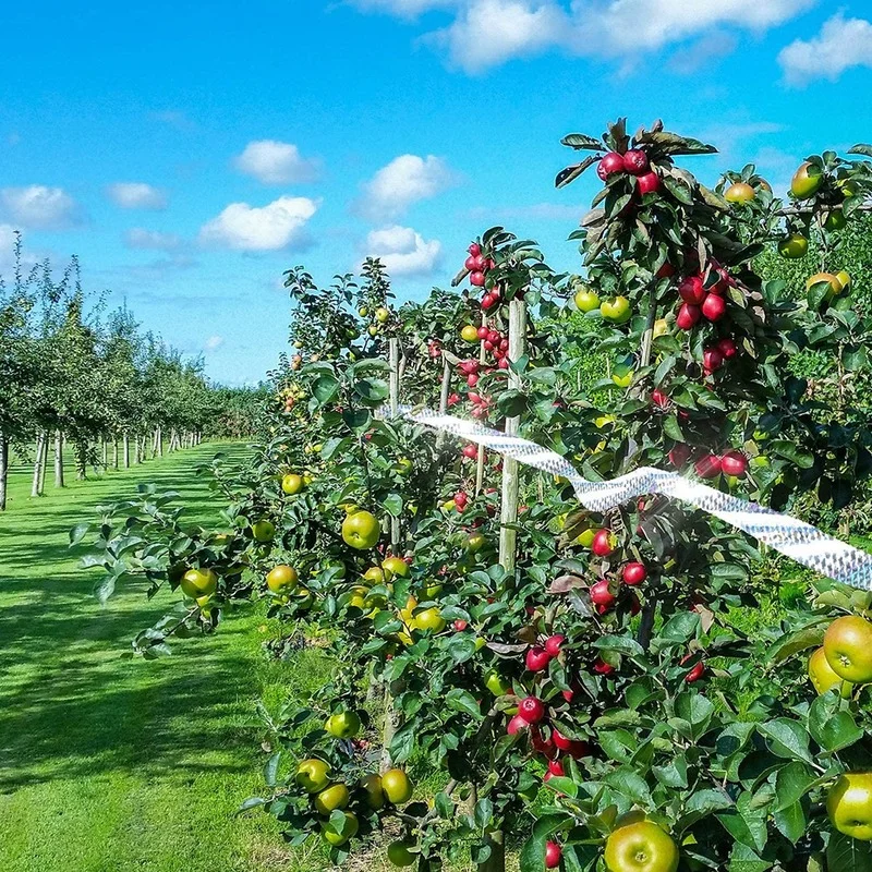 Отражающая Двусторонняя лента для защиты от птиц Отпугиватель насекомых сада 45