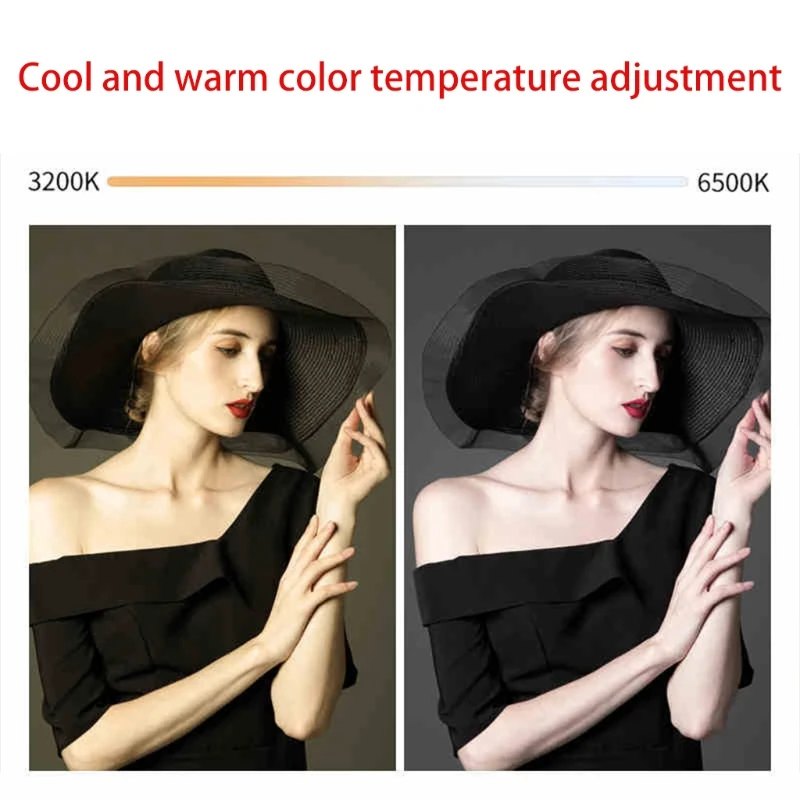 

Video Conference Lighting Kit, Video Light for Remote Working,Led Light for Laptop Video Conferencing, Zoom Calls