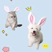 pet dog headwear dress up cats to go out and take pictures dog headwear cat cute rabbit ears hair band decoration pet supplies