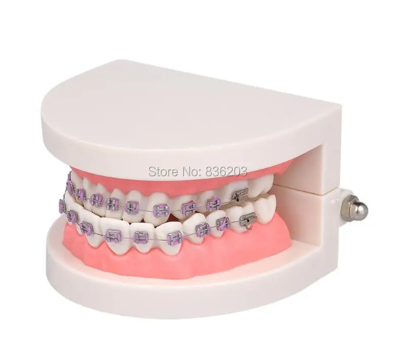 Стоматологическое лабораторное оборудование отбеливание зубов ортодонтический