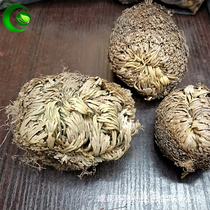 Сушеный цветок Fu Huo Cao волшебное восстанавливающее растение Роза динозавра