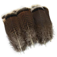 20pcslot natural pheasant eagle feather turkey feathers for crafts carnaval handicraft assesoires dream catcher decor clothes