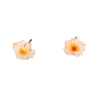 fashion korean natural dried dasiy flower stud earrings crystal resin stud earrings trendy jewelry pendientes for women gifts