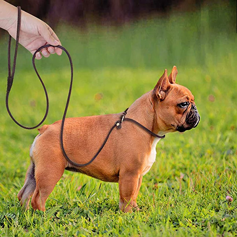 

Real Leather Slip Dog Leash Slim Pet P leash Lead for Small Dogs Puppies Sturdy Adjustable Collar Pulling Rope Training Leads