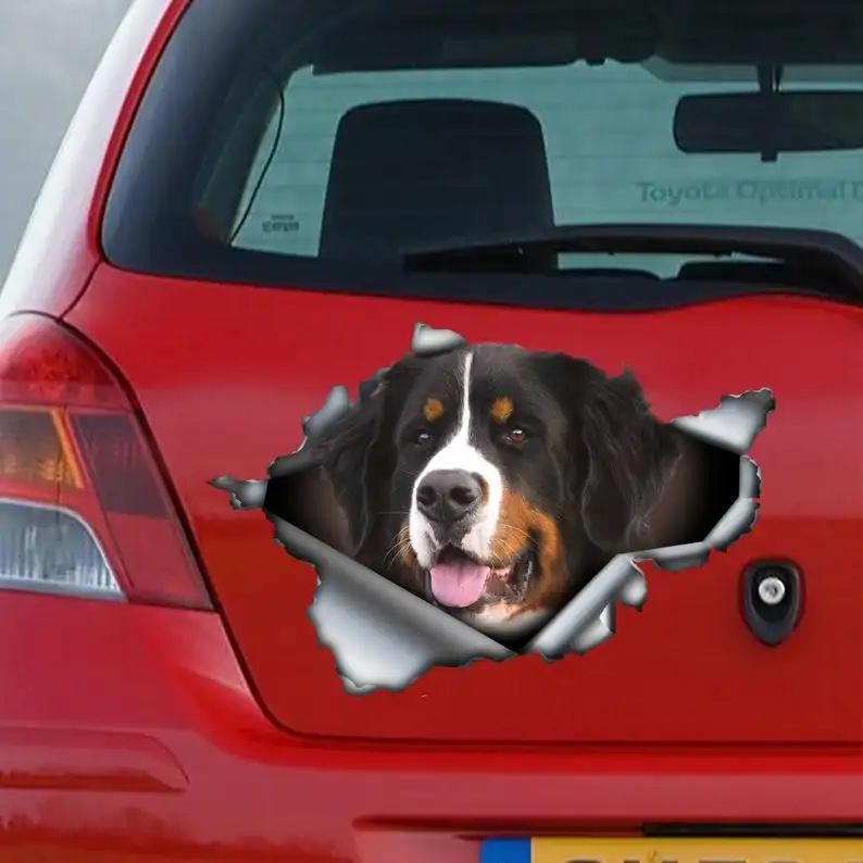 

2021 Bernese Mountain Dog car decal , Bernese Mountain Dog magnet, Bernese Mountain Dog sticker