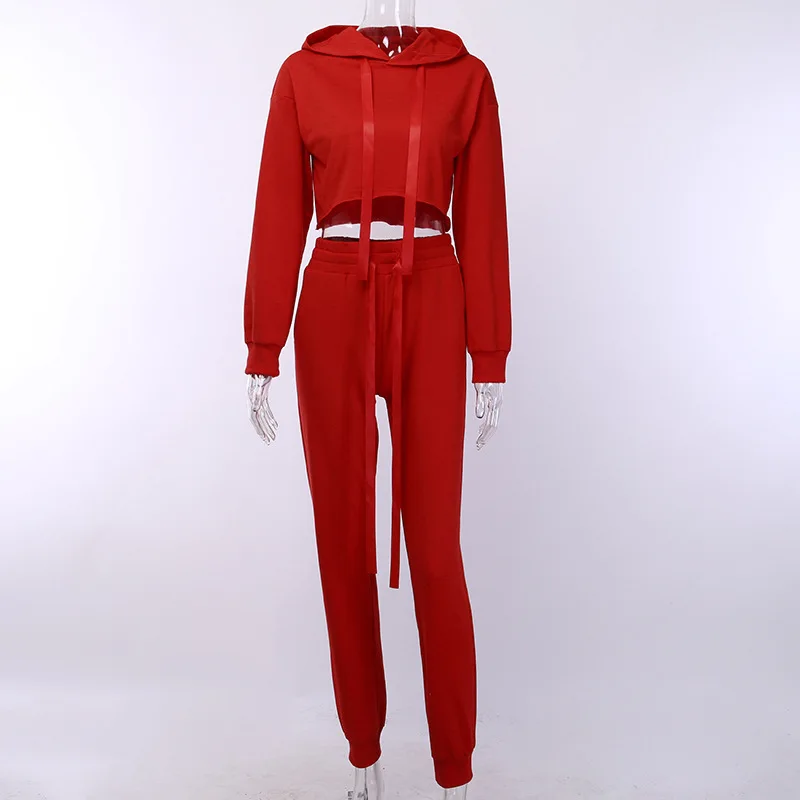 Красный комплект из 2 предметов женские комплекты зимняя одежда худи укороченный