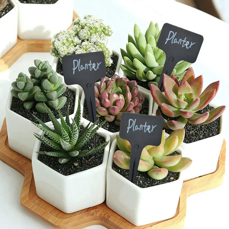

101Pcs/Set Black Plant Labels Water T-Types Plant Tag Reusable Nursery Garden Labels Plant Markers for Flower Vegetables
