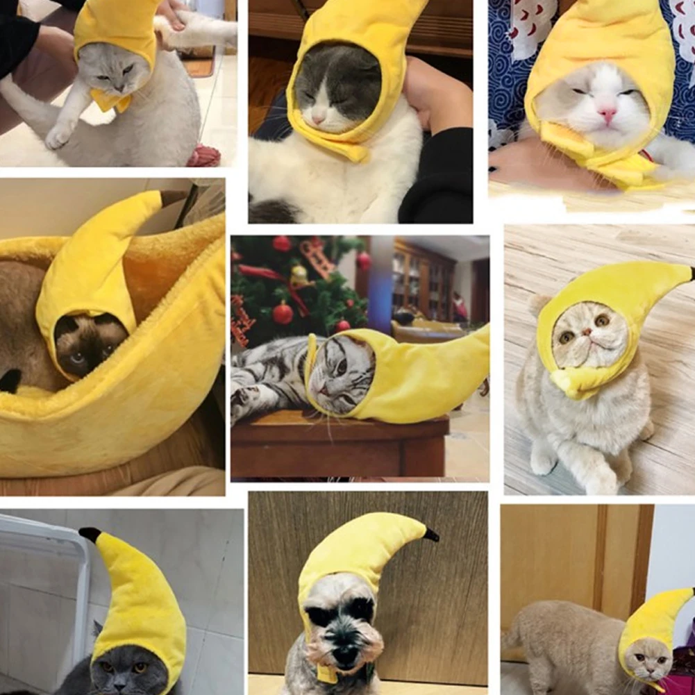 ПЭТ Забавные головные уборы милый костюм банана Кепки с рисунком &quotПодсолнух&quot