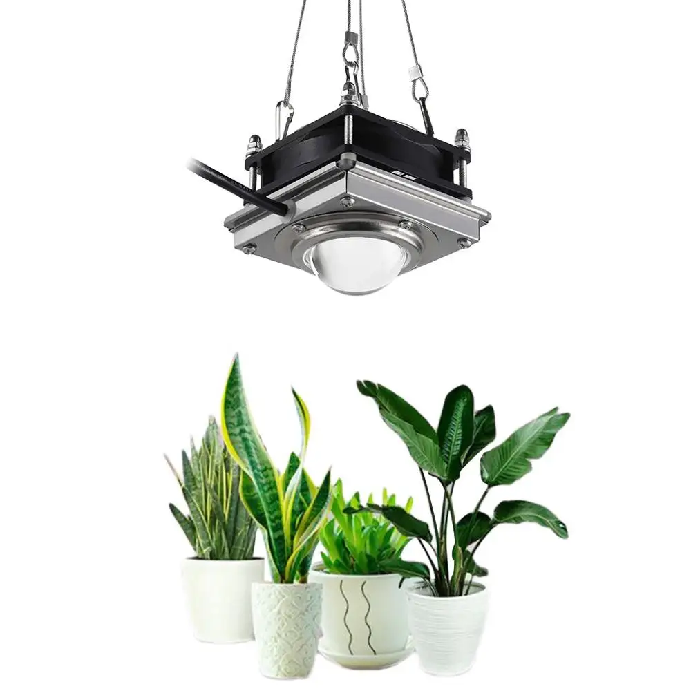 300Вт COB LED Растительный ростовой светильник для цветка, внутреннего гидропонного теплицы полного спектра растущей лампы расти.