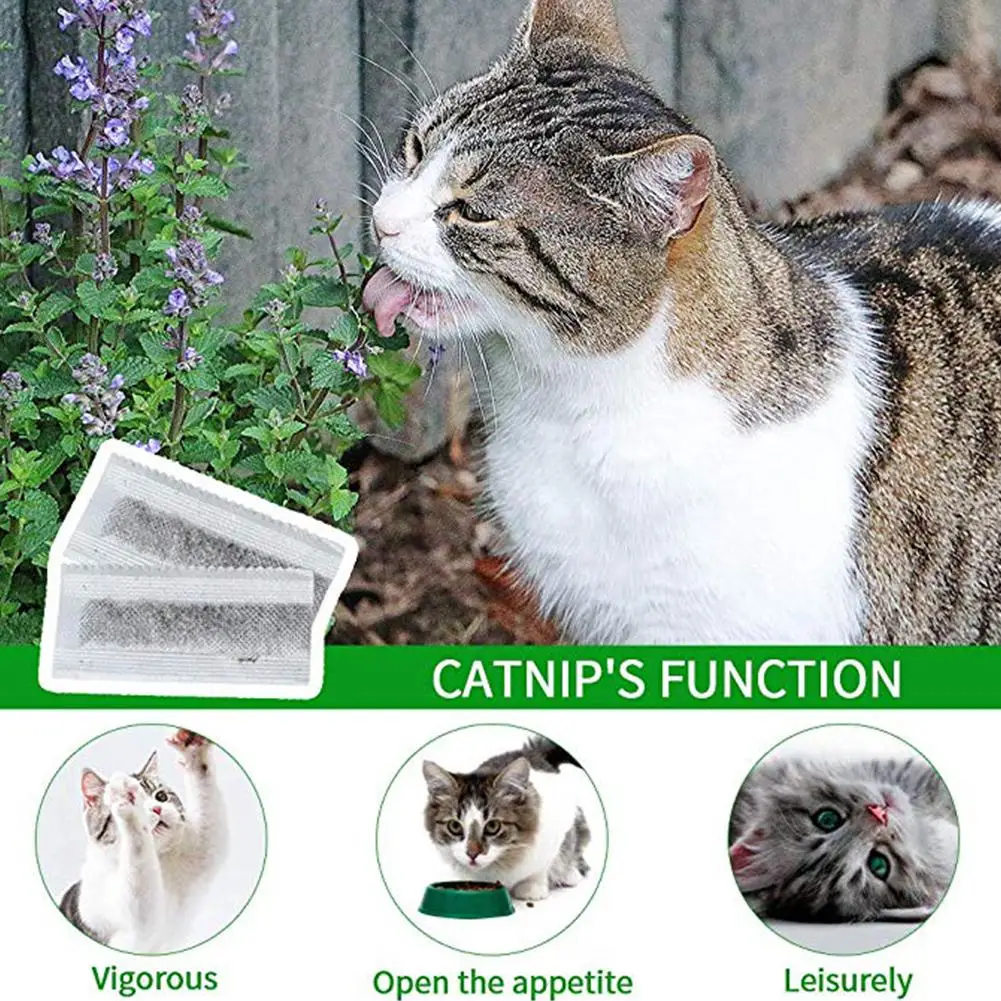 Зубная щетка для кошек зубная домашних животных шлифовальная Чистящая игрушка С