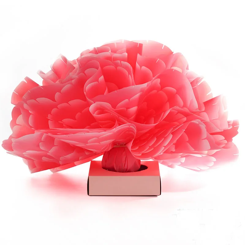 20 шт. упаковочная бумага для яблока на Рождество фрукты подарок пластиковый