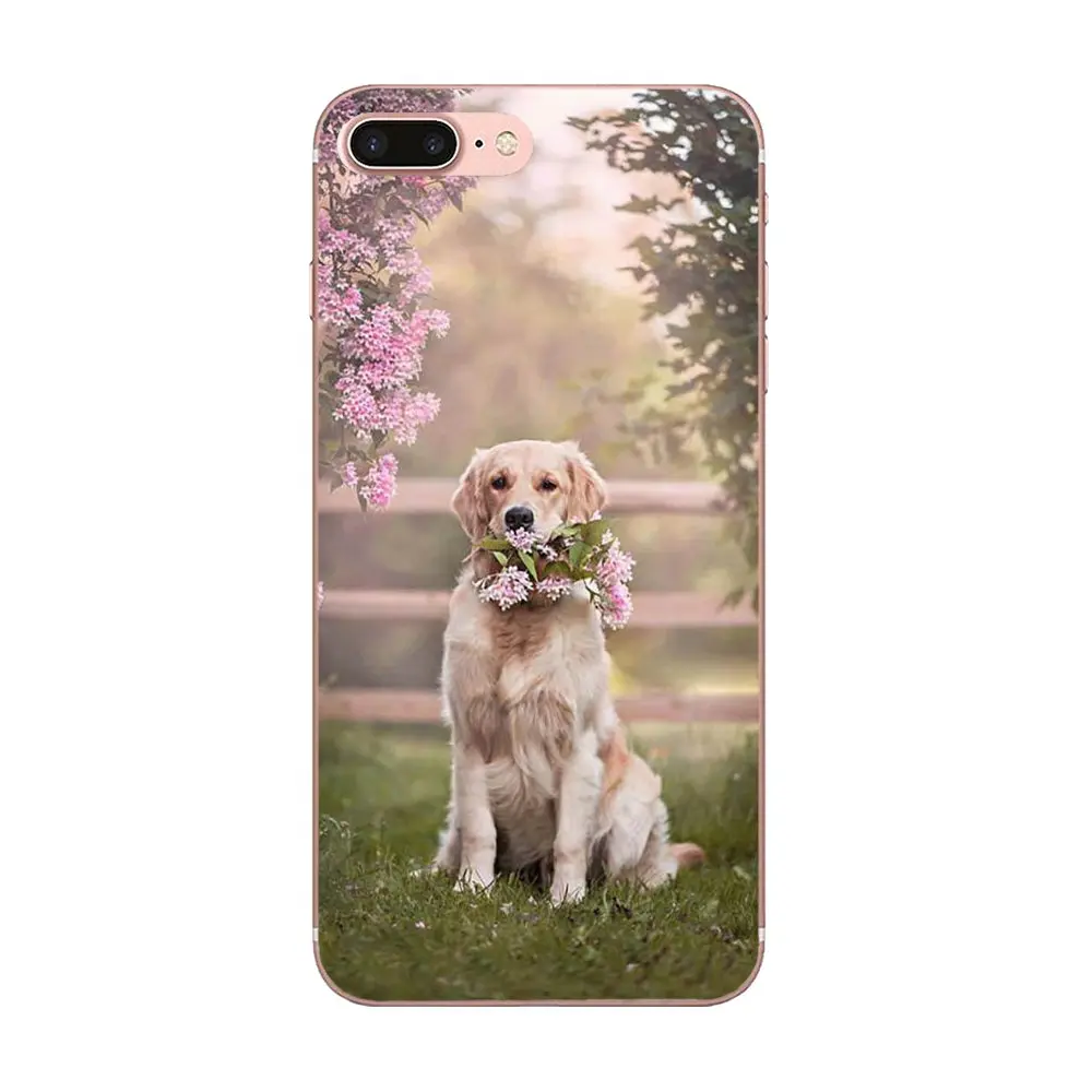 Мягкий щенок золотистого ретривера для HTC Desire 530 626 628 630 816 820 One A9 M7 M8 M9 M10 E9 U11 U12 Life Plus