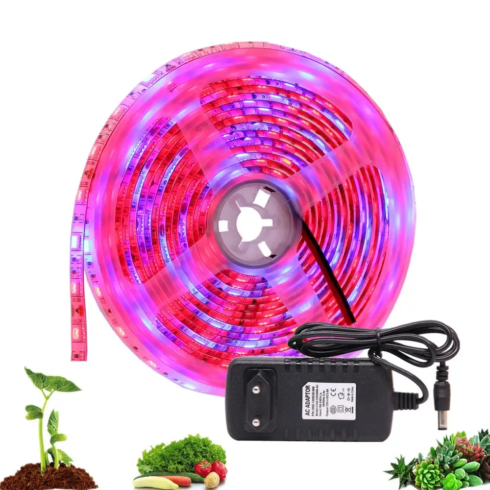 DC 12V LED Grow light 5M светодиодная лента гибкая 5050 Phyto растительные лампы для
