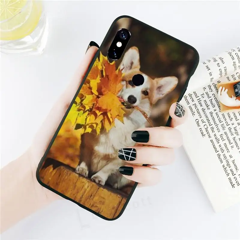 

Corgi cute animal dog Phone Case For Xiaomi Redmi 4x 5 plus 6A 7 7A 8 10 mi8 8lite 9 note 4 5 6 7 8 pro
