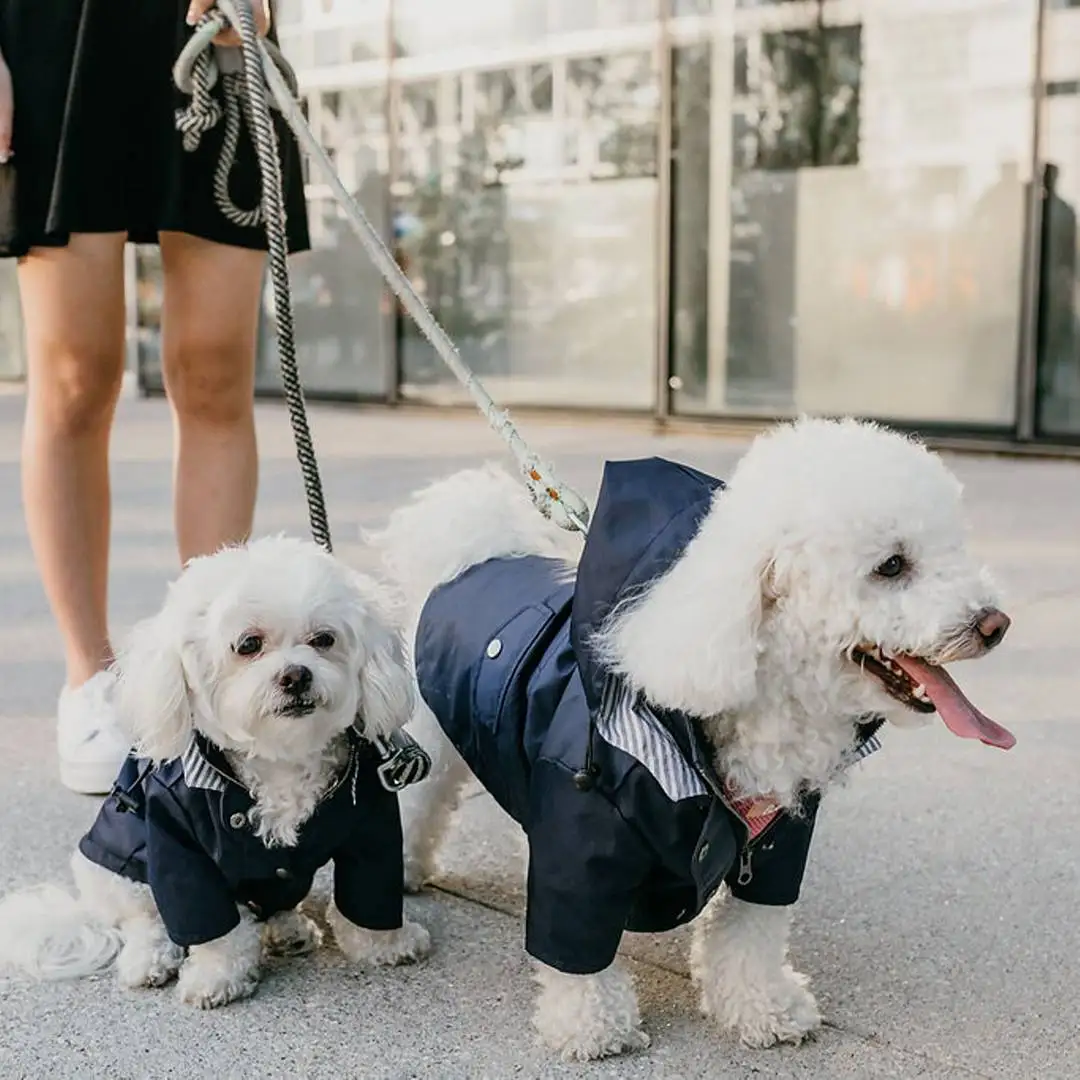 Pet Dog Raincoat Windproof and Rainproof Yellow Puppy Hoodies Jacket Multi-size Suitable for Large Medium Small Clothes |