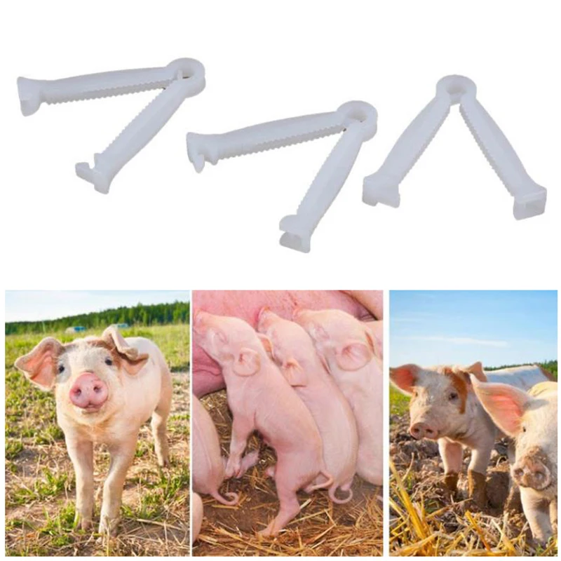 

100Pcs Disposable Umbilical Cord Clamps 50mm in Length Puppy Kitten Whelping