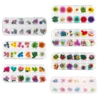 12 сеткакоробка кристалл эпоксидный наполнитель сухой цветок смешанные наклейки для ногтей украшения полимерный наполнитель материал ремесло искусство Изготовление ювелирных изделий DIY