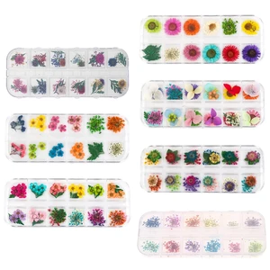 12 сеткакоробка кристалл эпоксидный наполнитель сухой цветок смешанные наклейки для ногтей украшения полимерный наполнитель материал ремесло искусство Изготовление ювелирных изделий DIY