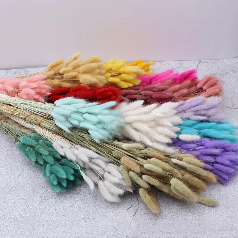 15 шт. декоративные сушеные цветы пампасная трава букет зайцехвостника травы Lagurus